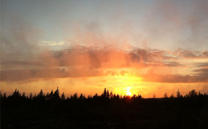 Reinon Tupa - Wild life-kilpailut Reinon Tuvan pihapiirissä - Luontoretket